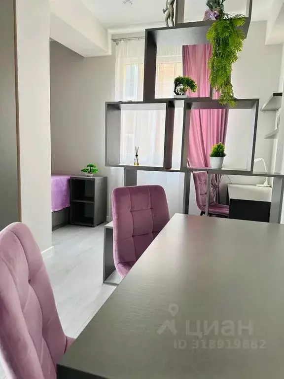 1-к кв. Краснодарский край, Сочи Виноградная ул., 195/8А (30.0 м) - Фото 1