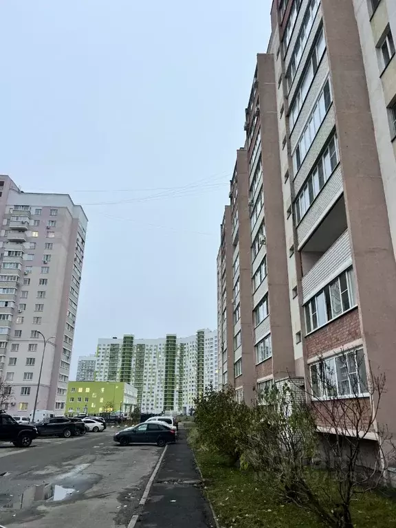 Торговая площадь в Пензенская область, Пенза ул. 65-летия Победы, 7 ... - Фото 2