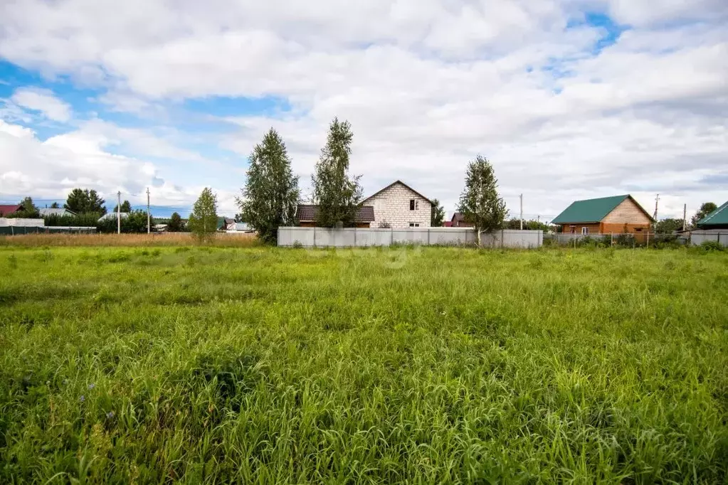 Участок в Новосибирская область, Бердск Слава садовое товарищество, ... - Фото 1