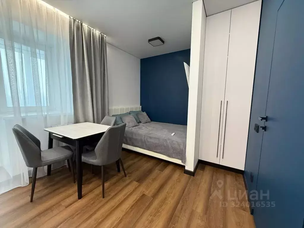 Студия Амурская область, Благовещенск Высокая ул., 143 (29.0 м) - Фото 1