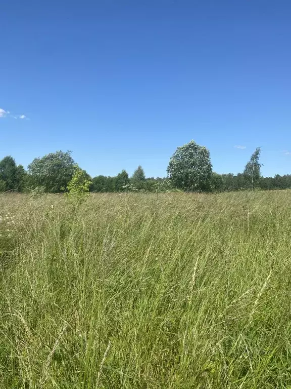 Участок в Московская область, Луховицы  (30.65 сот.) - Фото 0