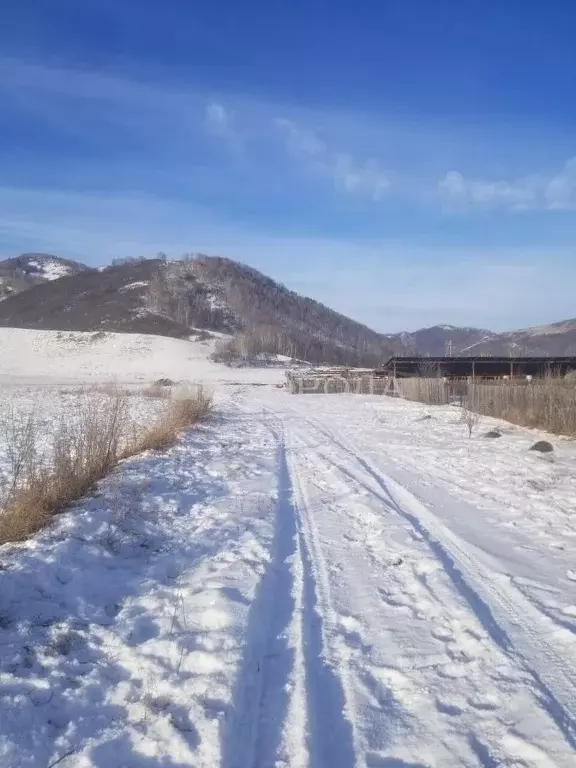 Участок в Алтайский край, с. Солонешное ул. Цветочная (20.0 сот.) - Фото 0