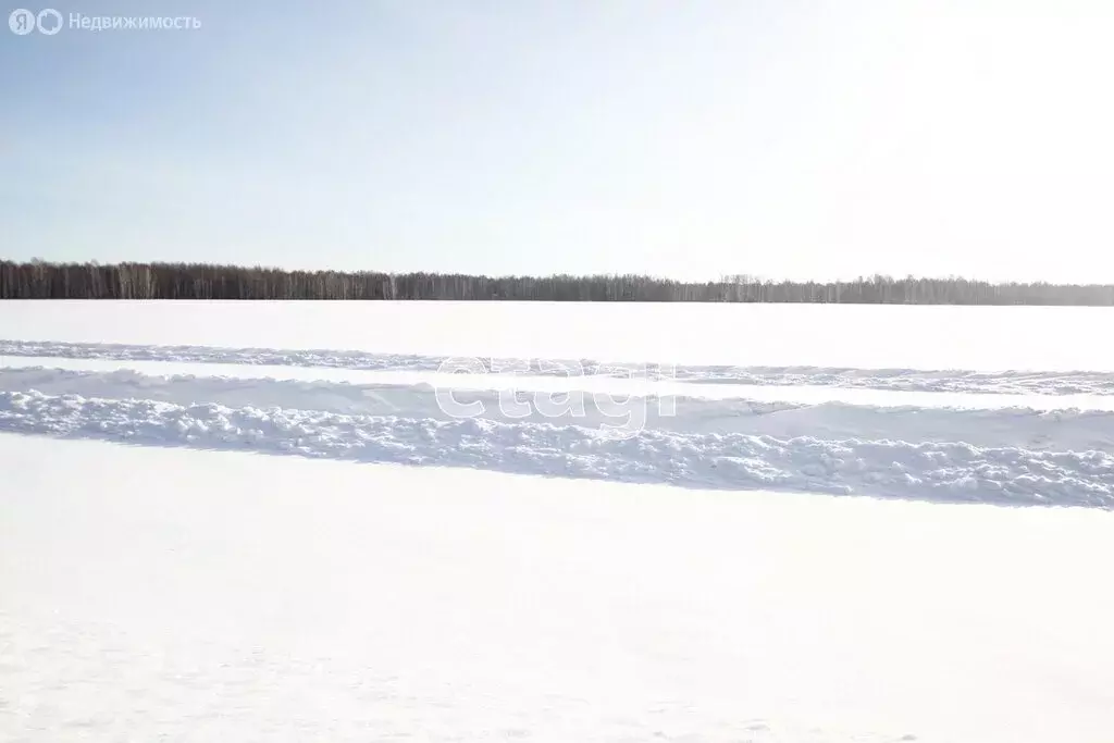 Участок в Тюменская область, Заводоуковский муниципальный округ, село ... - Фото 2