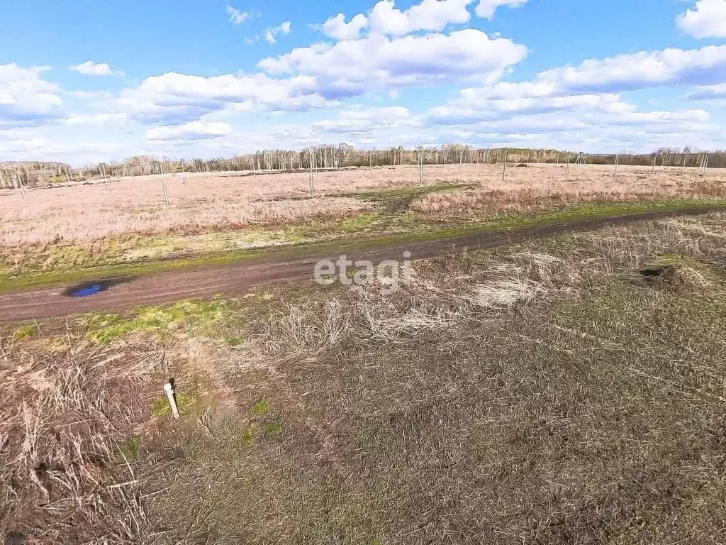 Участок в Тюменская область, Тюменский муниципальный округ, ... - Фото 1