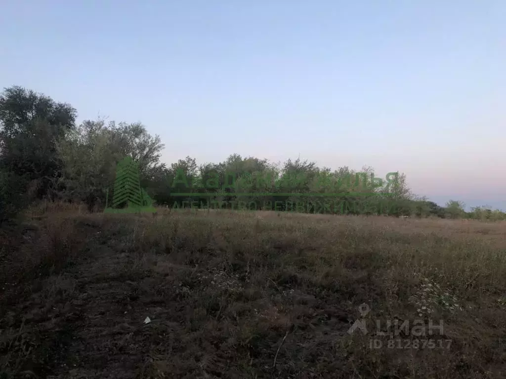 Участок в Саратовская область, Воскресенский район, с. Синодское  ... - Фото 1