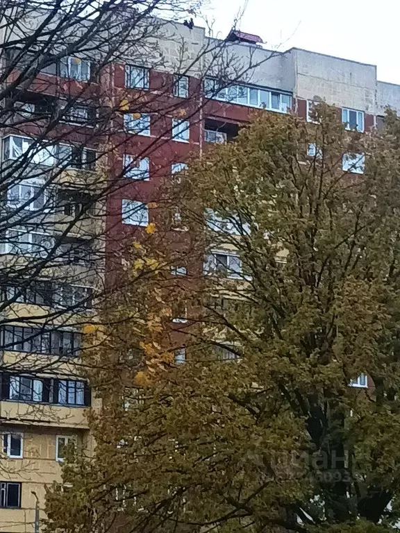 2-к кв. Санкт-Петербург Серебристый бул., 37 (50.9 м) - Фото 1