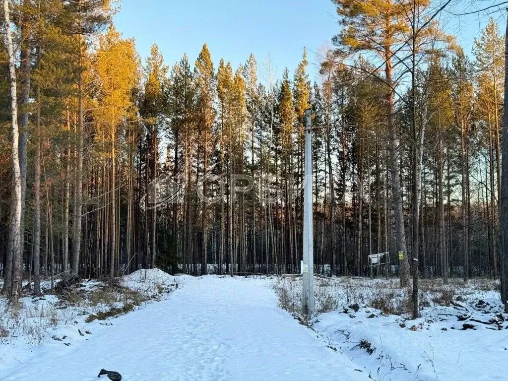 Участок в Тюменская область, Нижнетавдинский район, с. Тюнево ул. ... - Фото 0