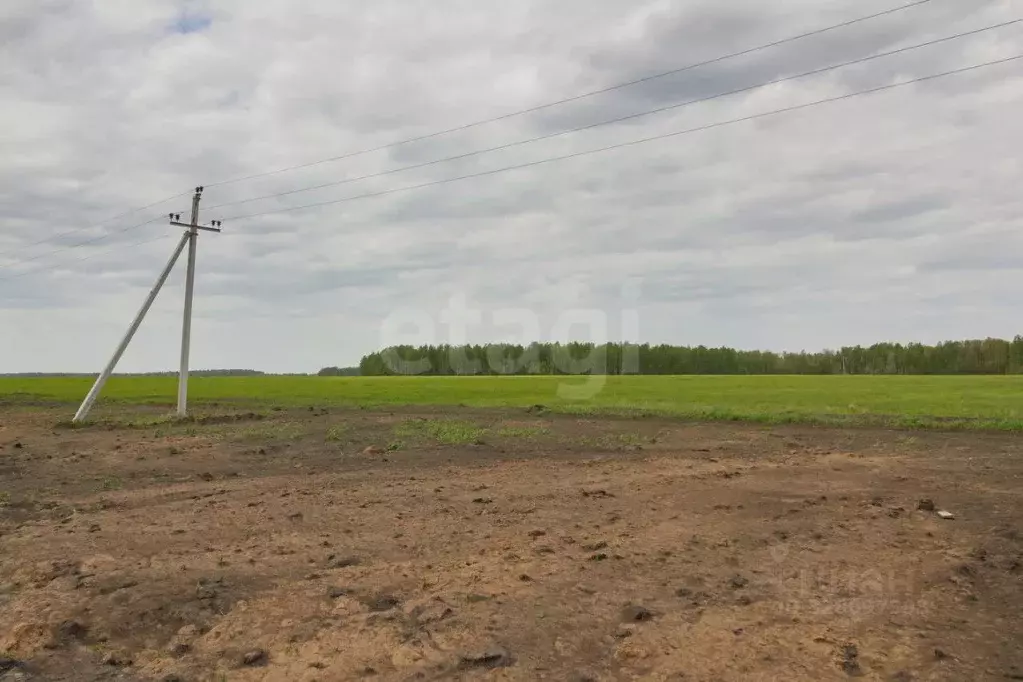 Участок в Тюменская область, Тюменский муниципальный округ, ... - Фото 1