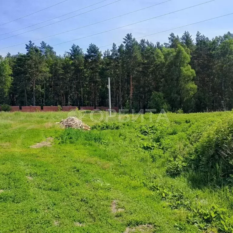 Участок в Тюменская область, Тюмень ул. Строителей (20.1 сот.) - Фото 1