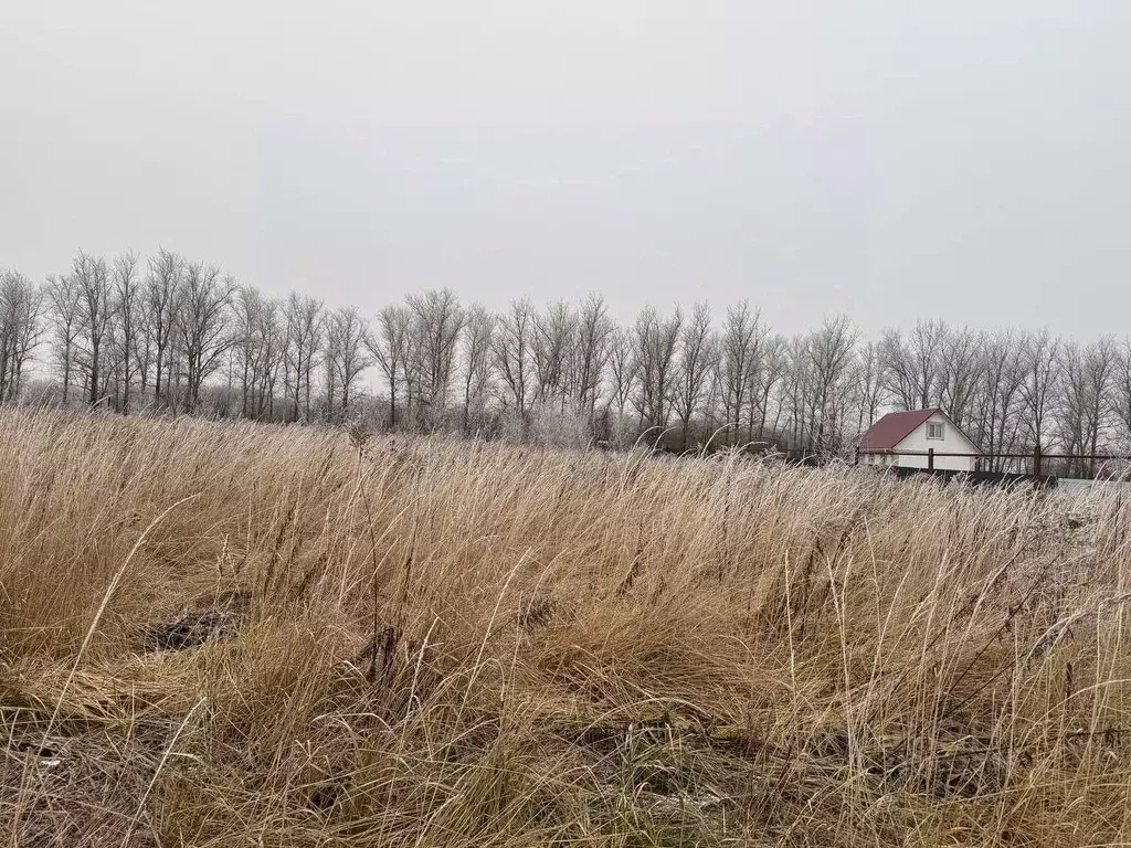 Участок в Московская область, Кашира городской округ, д. Тарасково ул. ... - Фото 0