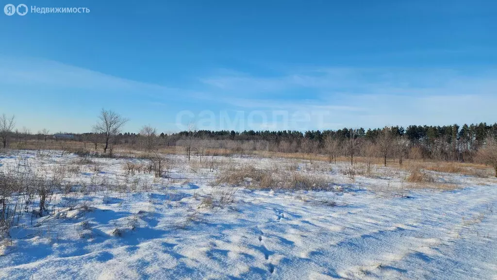 Участок в Оренбургский район, Южноуральский сельсовет, СНТ Элитастрой, ... - Фото 1