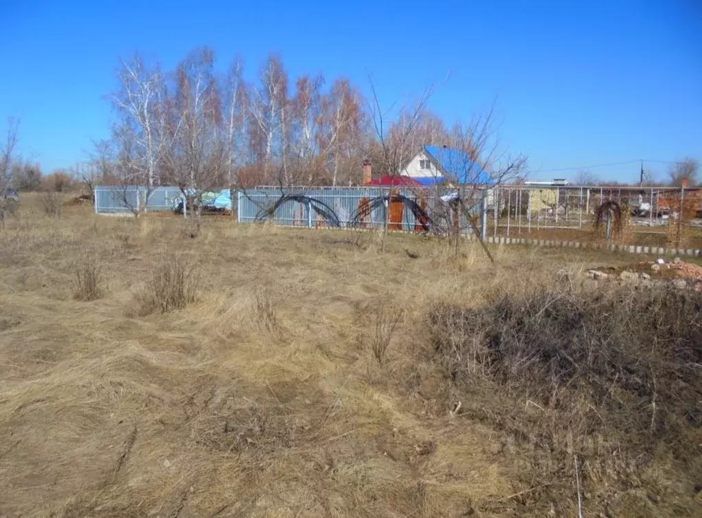 Участок в Саратовская область, Энгельсский район, Терновское ... - Фото 1