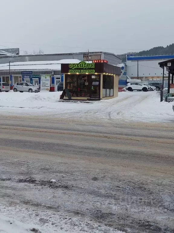Торговая площадь в Алтайский край, Белокуриха ул. Академика Мясникова, ... - Фото 2