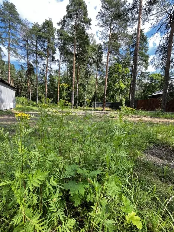 Участок в Ленинградская область, Всеволожск Мельничный Ручей мкр,  ... - Фото 2