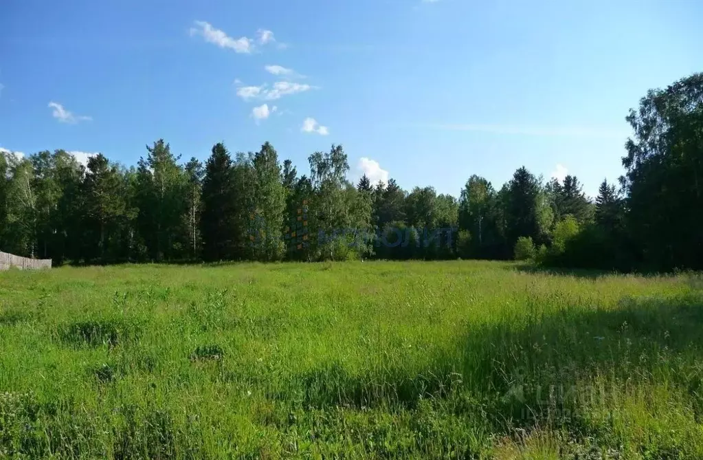 Участок в Нижегородская область, Воскресенский муниципальный округ, с. ... - Фото 1