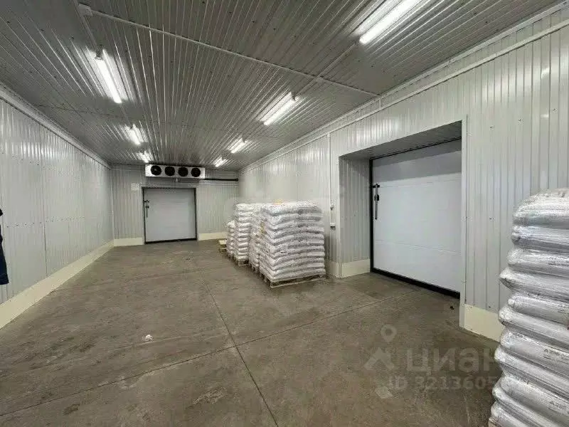 Помещение свободного назначения в Псковская область, Псков ... - Фото 1