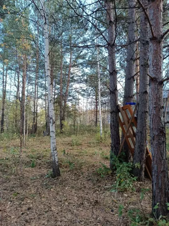 Участок в Свердловская область, Верхняя Пышма городской округ, пос. ... - Фото 1