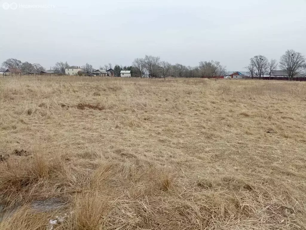 Участок в село Воздвиженка, Октябрьская улица, 95 (15.6 м) - Фото 0