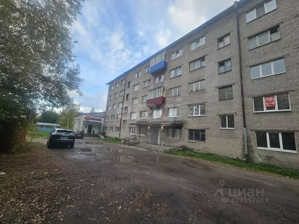 Студия Архангельская область, Архангельск ул. Самойло, 12А (35.9 м) - Фото 2