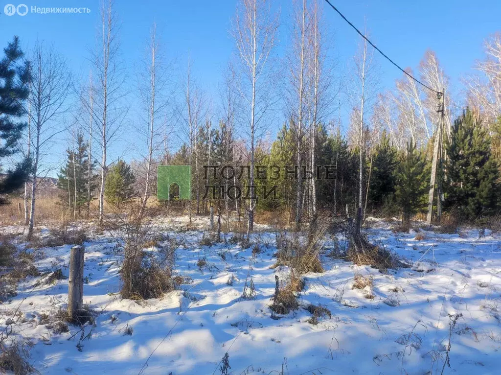 Участок в Красноярский край, Сосновоборский муниципальный округ, ... - Фото 1