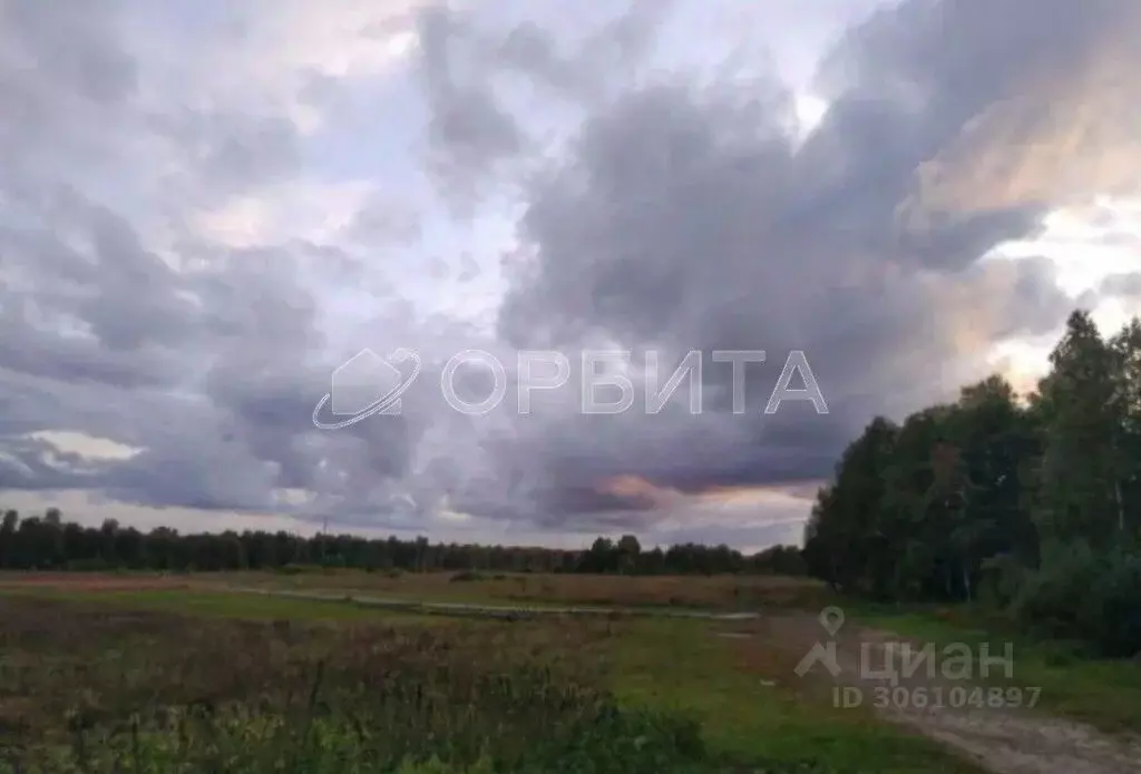 участок в тюменская область, нижнетавдинский район, пос. торгили . - Фото 1