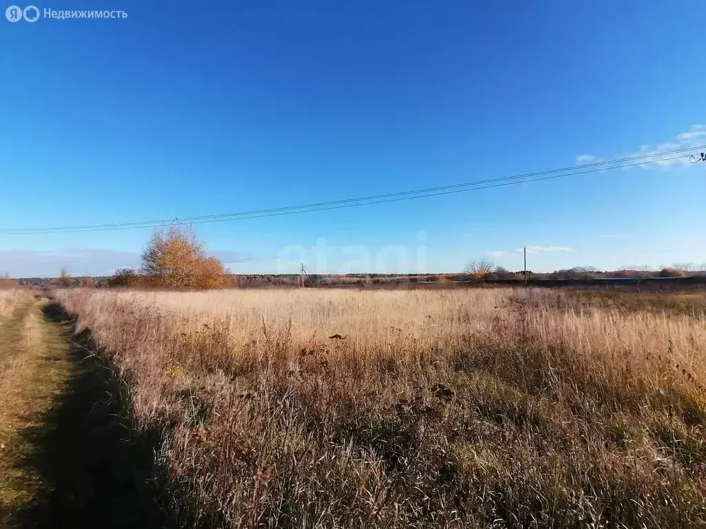 Участок в Московская область, городской округ Коломна, село Федосьино ... - Фото 0