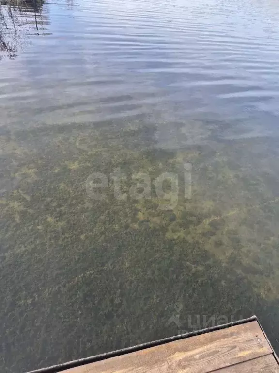 Участок в Белгородская область, Корочанский район, Большехаланское ... - Фото 2