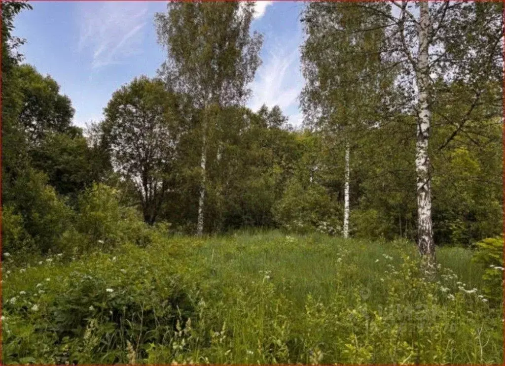 Участок в Московская область, Можайский муниципальный округ, д. ... - Фото 2