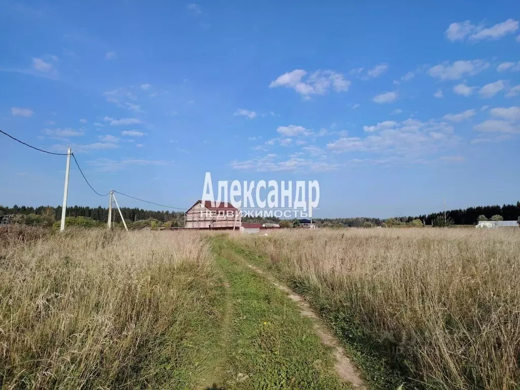 Участок в Ленинградская область, Гатчинский район, д. Жабино Северная ... - Фото 0