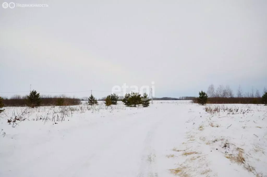 Участок в Тюменский район, садоводческое некоммерческое товарищество ... - Фото 0