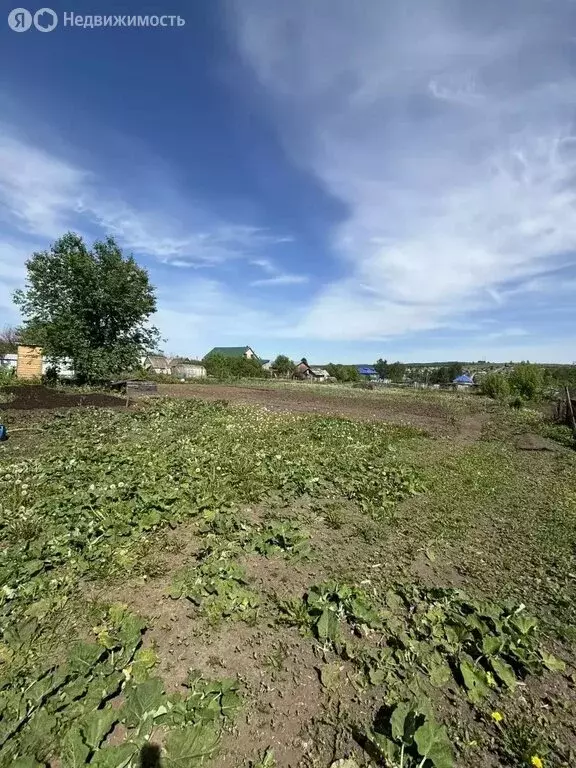 Участок в село Красноусольский, улица Достоевского, 22 (10 м) - Фото 1