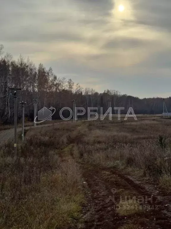 Участок в Тюменская область, Тюменский муниципальный округ, с. Кулига, ... - Фото 2