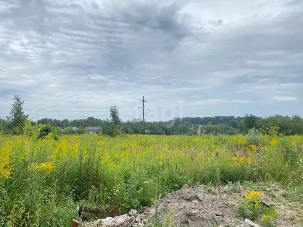 Участок в Брянская область, Брянский район, Снежское с/пос, с. ... - Фото 1