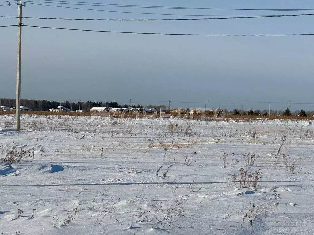 Участок в Тюменская область, Тюменский район, с. Каменка  (7.2 сот.) - Фото 1