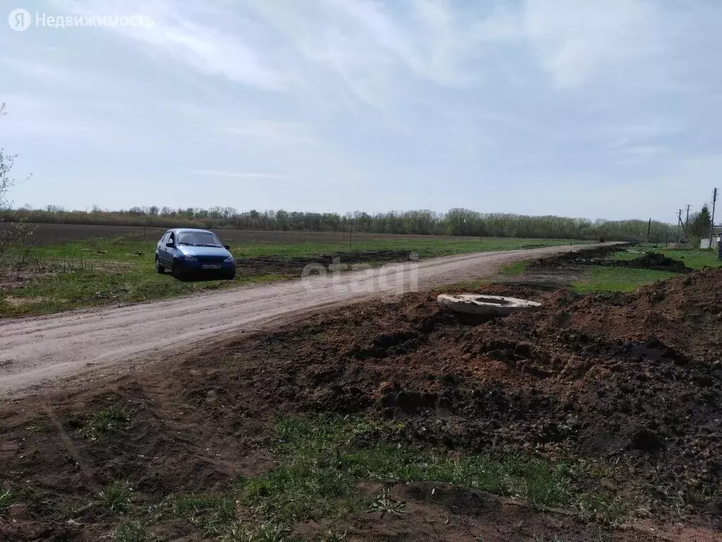 Погода в новой отрадовке. Город новая Отрадовка. Аукцион дорога.