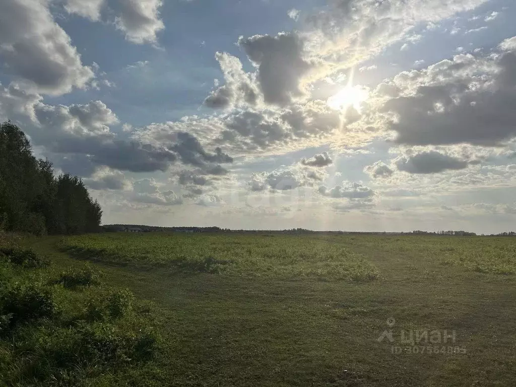 Участок в Тюменская область, Тюменский район, д. Елань  (8.18 сот.) - Фото 0