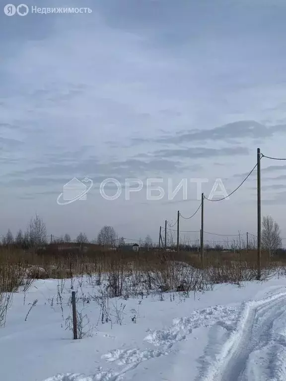 Участок в Тюмень, садовое товарищество Яровское (8.1 м) - Фото 1