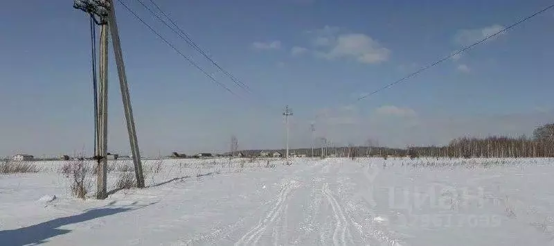 Участок в Омская область, Омский район муниципальный округ, с. ... - Фото 2