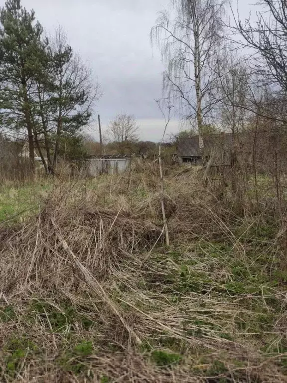 Участок в Смоленская область, Смоленский муниципальный округ, с. ... - Фото 2