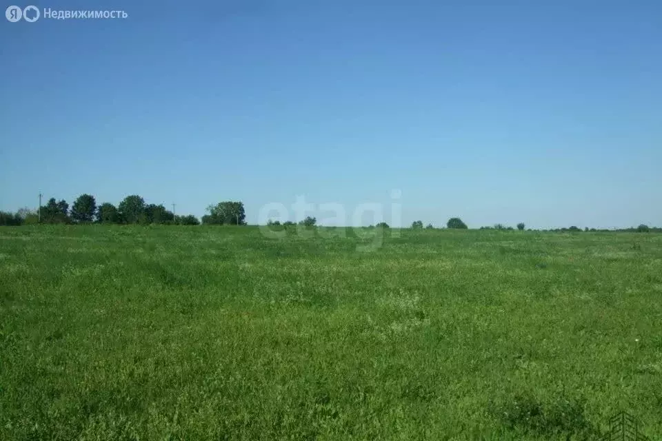 Участок в Елецкий район, Большеизвальский сельсовет, деревня ... - Фото 0