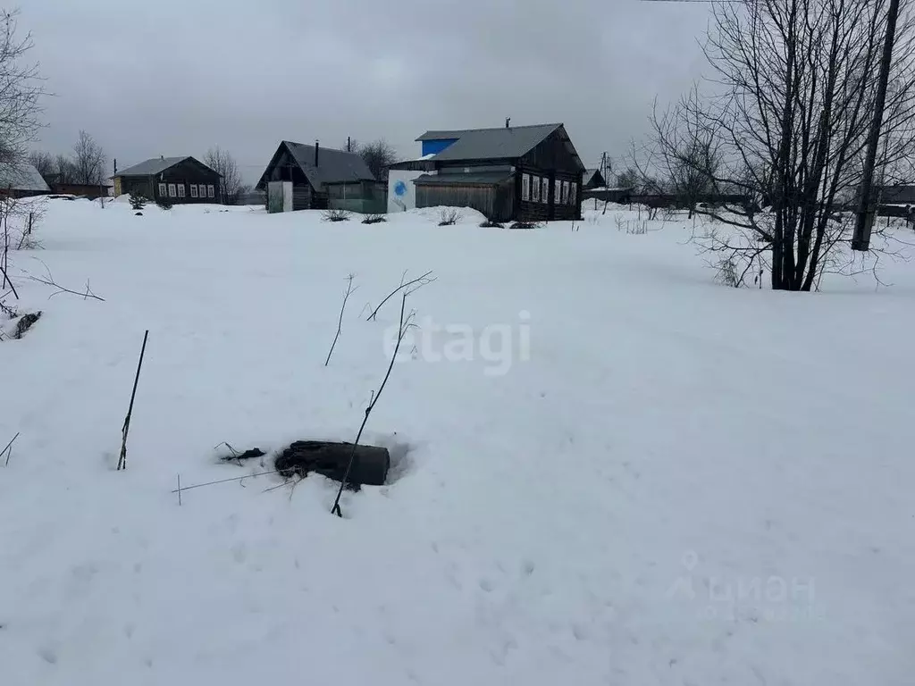 Участок в Коми, Сыктывдинский район, Палевицы муниципальное ... - Фото 1