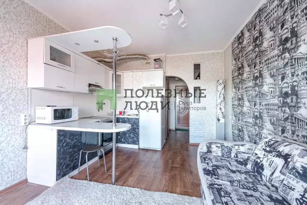 Студия Амурская область, Благовещенск Северная ул., 175 (20.5 м) - Фото 1