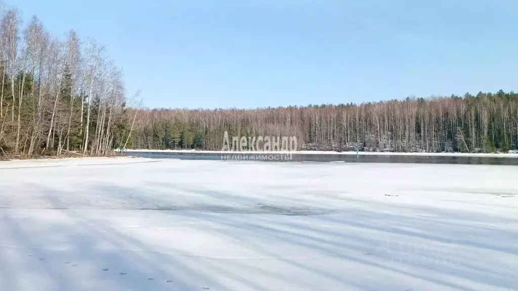 Участок в Ленинградская область, Выборг ул. Средняя Системная, 24А ... - Фото 1