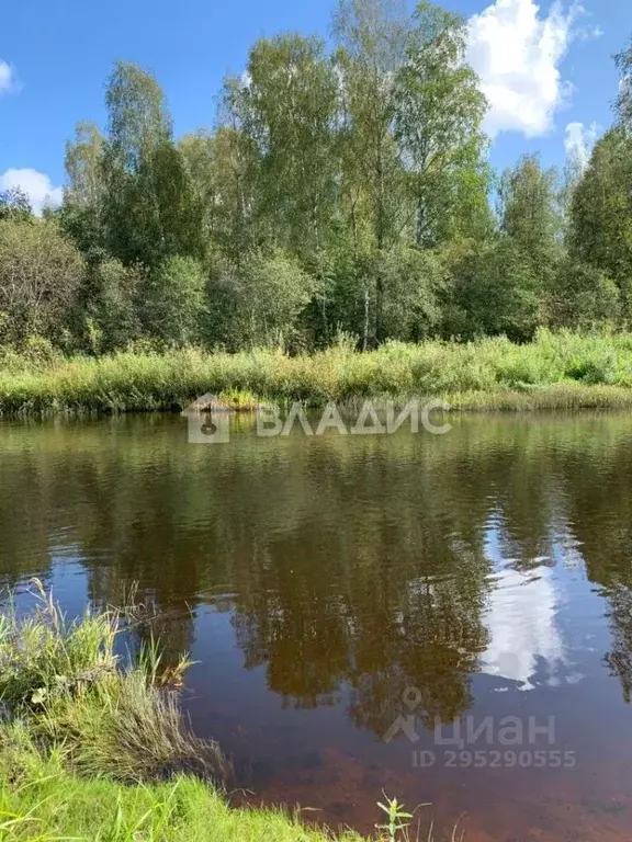 Участок в Тверская область, Селижаровский муниципальный округ, д. ... - Фото 1