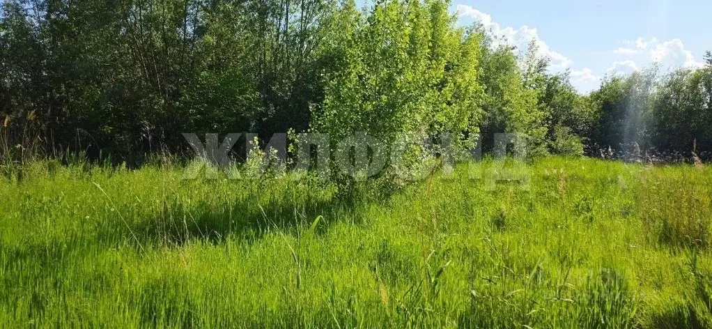 Участок в Красноярский край, Красноярск Энергетик СНТ,  (11.56 сот.) - Фото 2