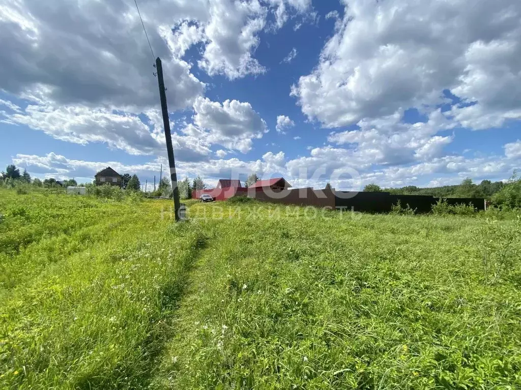 Участок в Пермский край, Усольский район, с. Пыскор ул. Жарова, 5 ... - Фото 2
