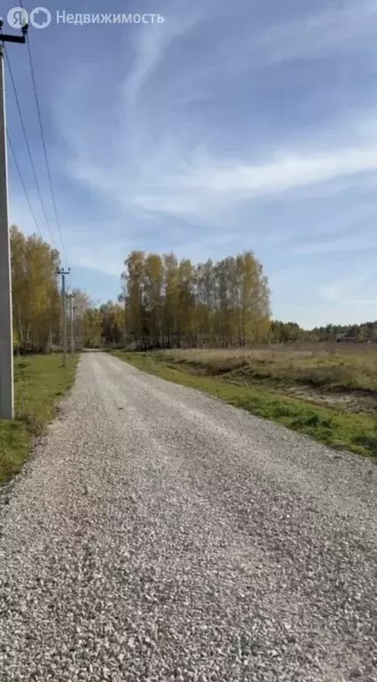 Участок в Айшинское сельское поселение, посёлок Нарат, Лесная улица ... - Фото 1