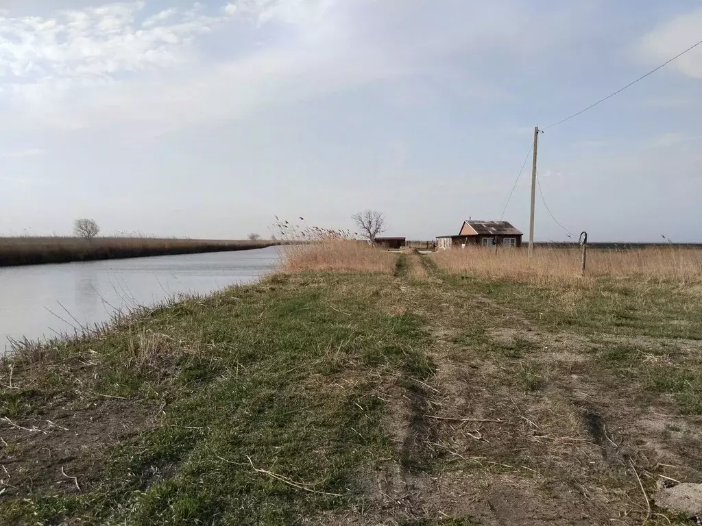 Участок в Краснодарский край, Калининский район, Гривенское с/пос, ... - Фото 1