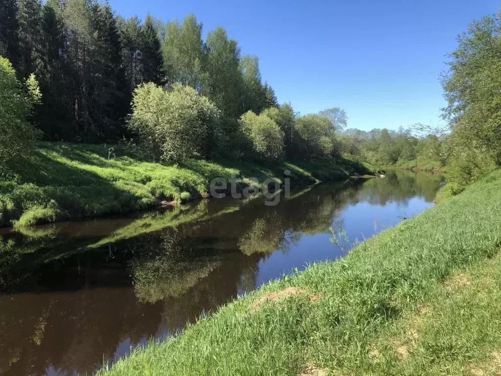 Участок в Ленинградская область, Киришский район, Пчевжинское с/пос, ... - Фото 1