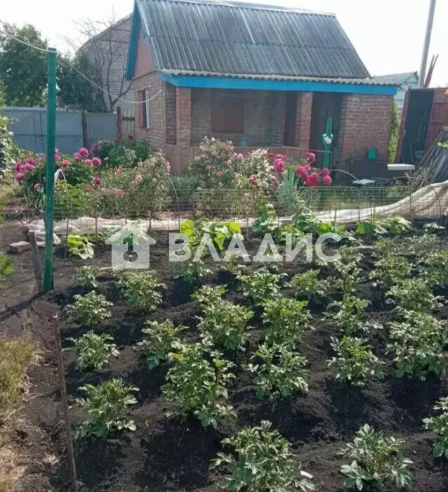 Участок в Наумовский сельсовет, СНТ Ильмень, поле № 4 (6.1 м) - Фото 2